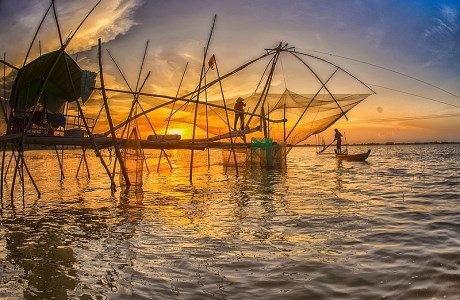 Thơ mộng mùa nước nổi