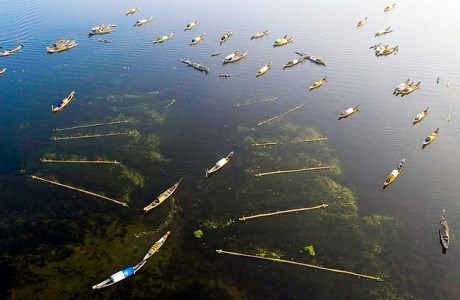 Đầm Quảng Lợi - điểm đến thú vị của Phá Tam Giang