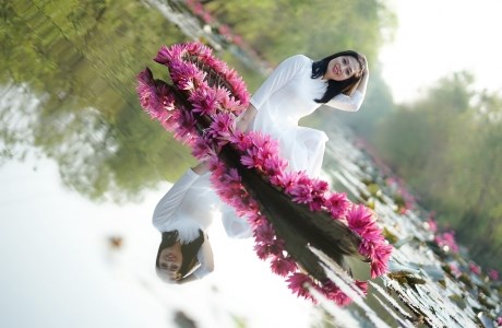 Check-in suối Yến rực rỡ sắc hồng hoa súng, đẹp đến ngẩn ngơ