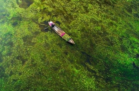 Vẻ đẹp miền Tây mùa nước nổi