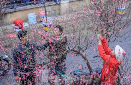 Không khí Tết ngập tràn phố phường Thủ đô