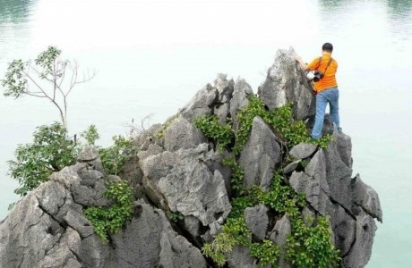Người trèo bằng tay lên các ngọn núi giữa vịnh Hạ Long chụp ảnh