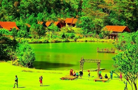 Màu xanh mộng mơ của 'thành phố ngàn hoa'