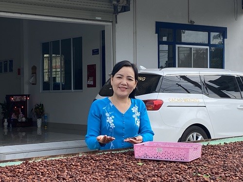 Khởi nghiệp với cây ca cao