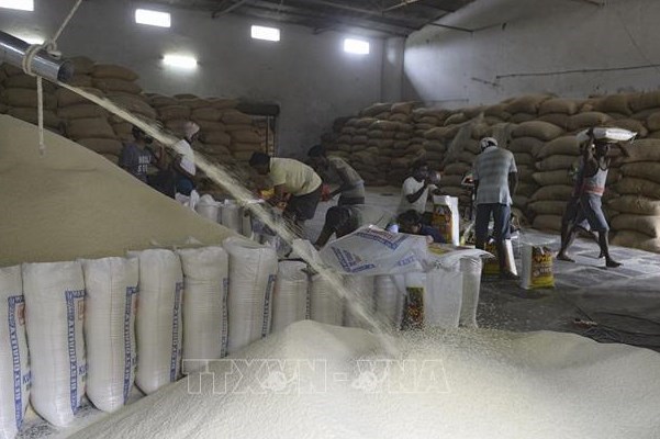 Nhiều đổi thay trên thị trường gạo thế giới