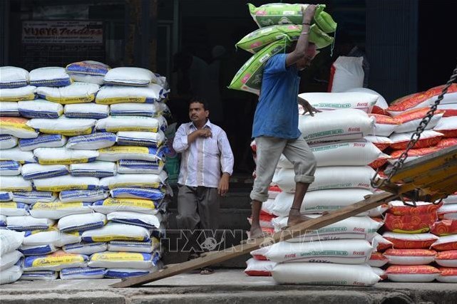 Giá gạo Ấn Độ tăng lên mức cao kỷ lục