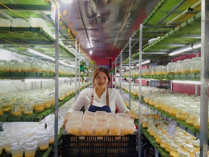 Tăng cường năng lực tiếp cận thị trường cho doanh nghiệp do nữ làm chủ