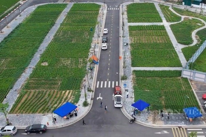 Thứ trưởng Bộ TN&MT: Sẽ có 9 nghị định, 6 thông tư hướng dẫn Luật Đất đai sửa đổi