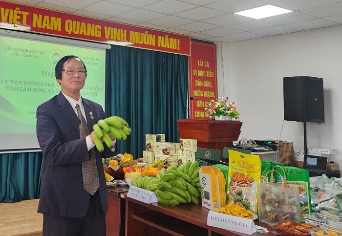 Hợp tác xã Lâm Đồng – Hà Nội liên kết mở rộng thị trường tiêu thụ sản phẩm