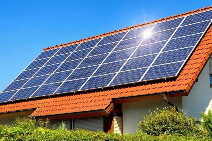 Lợi ích kép của điện mặt trời trong sản xuất nông nghiệp