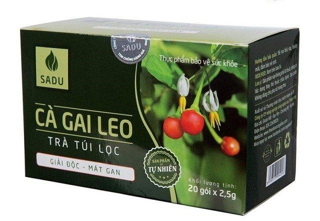 Trà túi lọc cà gai leo có thực sự hiệu quả như lời đồn?