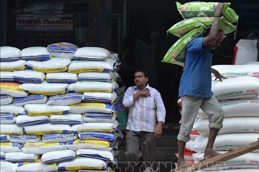 Giá gạo Ấn Độ vẫn ở mức cao do nguồn cung hạn chế