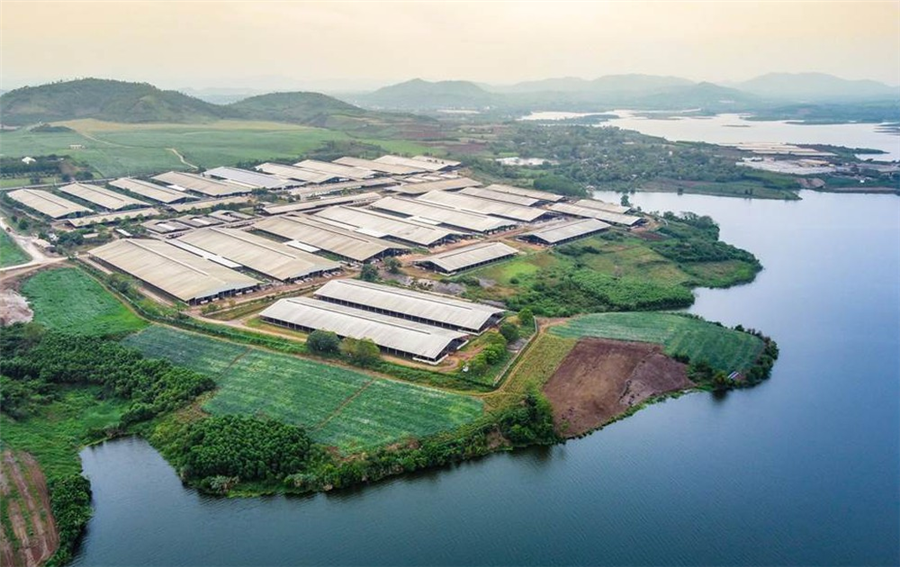 Có một con đường mà Tập đoàn TH đã chọn