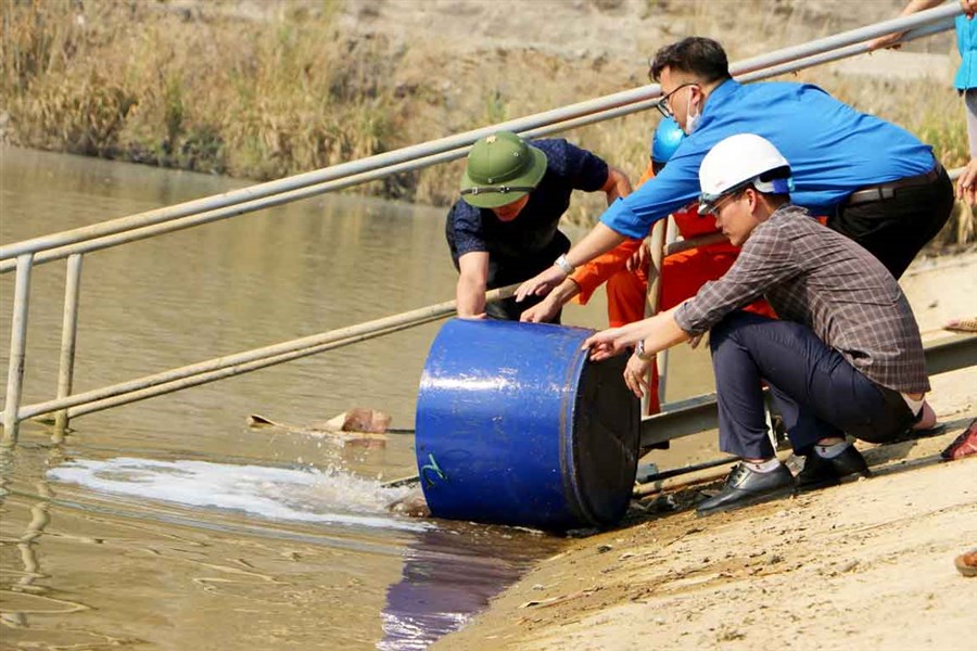 Thả cá giống lòng hồ – Hoạt động tái tạo nguồn lợi thủy sản lòng hồ Thuỷ điện Trung Sơn