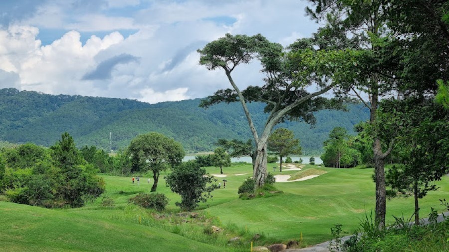 Lâm Đồng kiến nghị thanh tra toàn diện vụ phá rừng làm sân golf The DaLat At 1.200