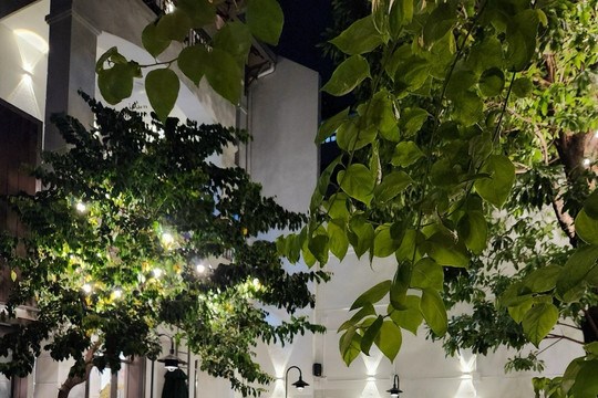 Malaysia quảng bá văn hóa ẩm thực tại TP.HCM