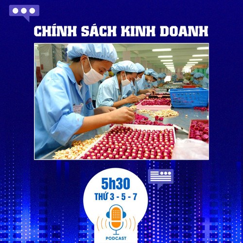 Bản tin Chính sách Kinh doanh ngày 14/3: Đề xuất áp thuế 10% với dịch vụ xuất khẩu gây bất lợi cho doanh nghiệp chế xuất?