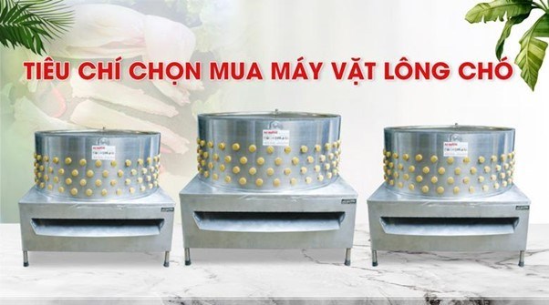 Những tiêu chí khi chọn mua máy vặt lông chó uy tín