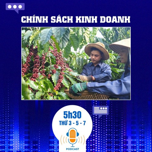 Bản tin chính sách kinh doanh ngày 28/3: Quy định chống phá rừng của châu Âu có thể làm "rung chuyển" thị trường cà phê toàn cầu